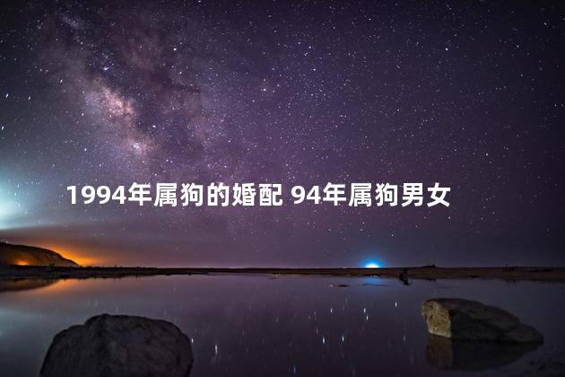 1994年属狗的婚配 94年属狗男女最佳婚配表